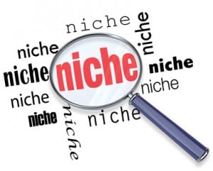 what is Niche